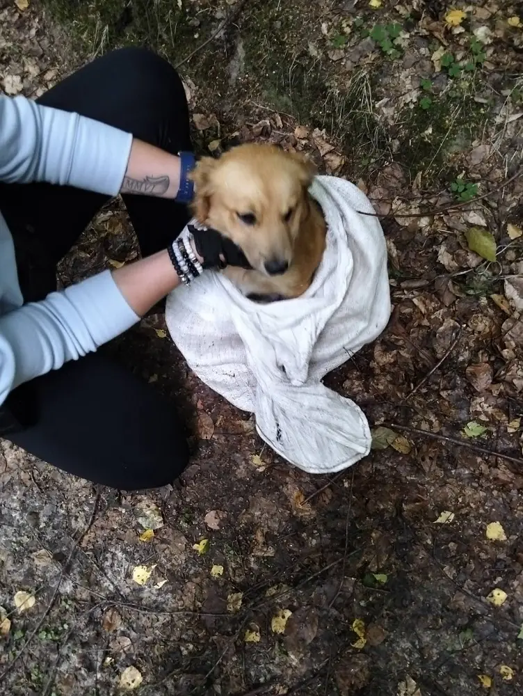 Czaplineccy policjanci uratowali psa uwięzionego w worku