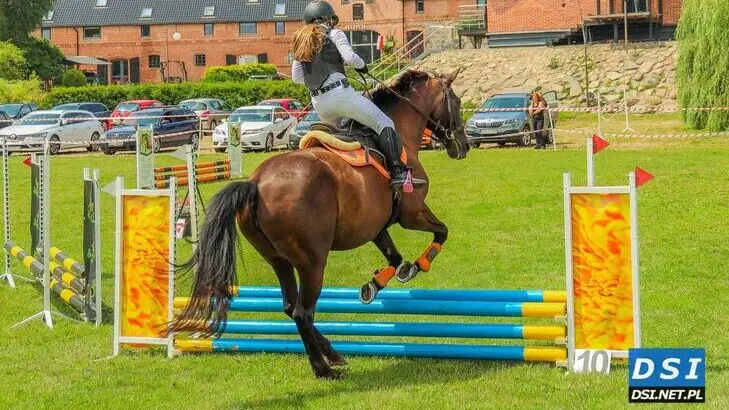 Equi Show - Synergia Jeździecka w Siemczynie