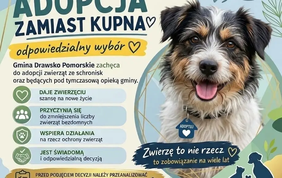 Adopcja zwierząt w Gminie Drawsko Pomorskie